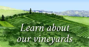 Learn about our vineyards