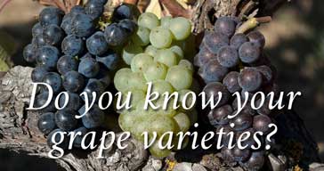 do you know your grape varieties